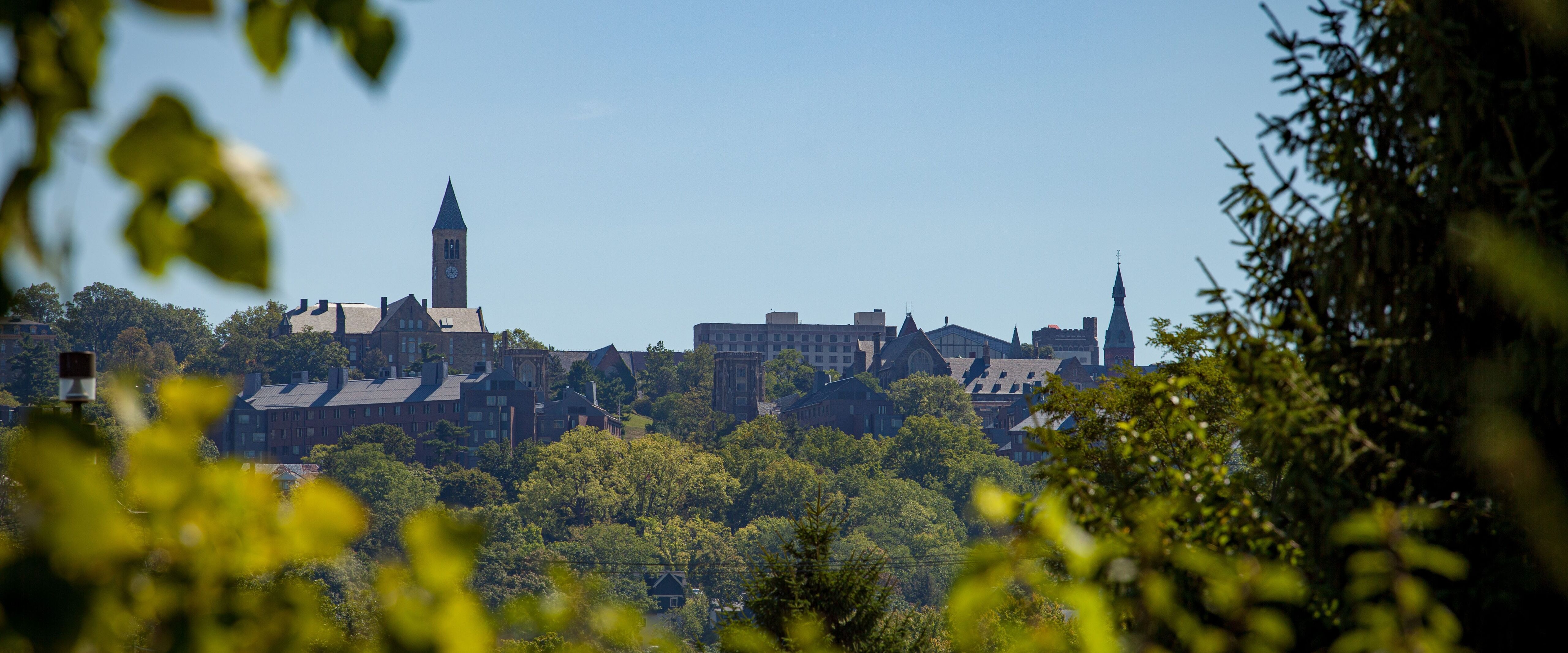 Cornell University Marianne Jessen